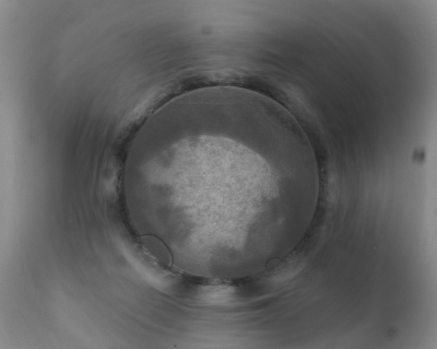 X0000112100266200908111425