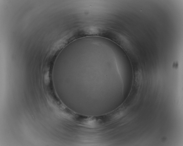 X0000112100267200908111425