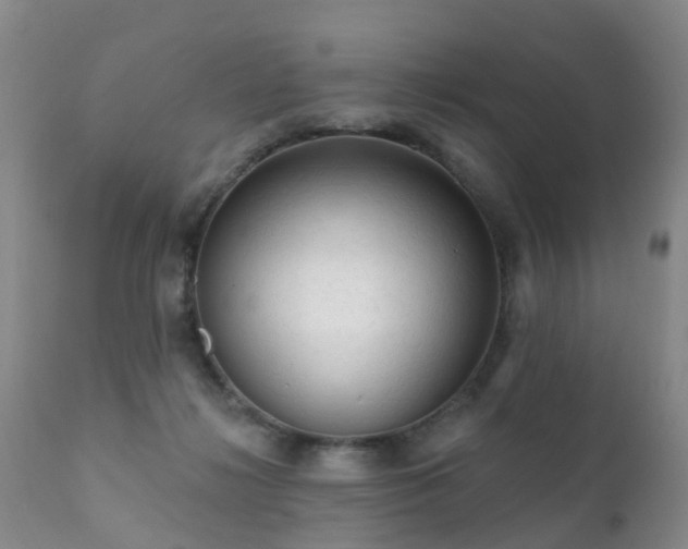 X0000112100268200908111425