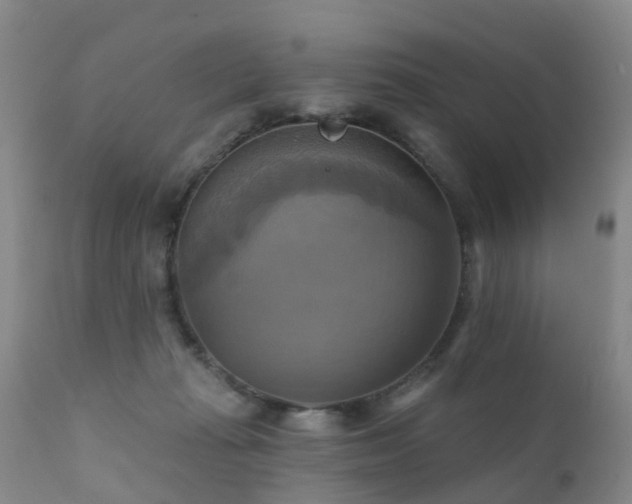 X0000112100269200908111425