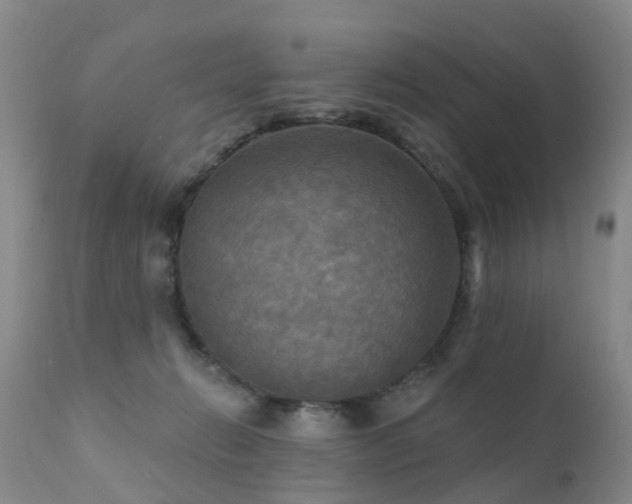 X0000112100270200908111425