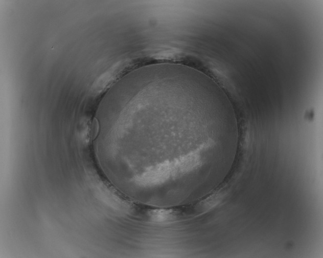 X0000112100273200908111425