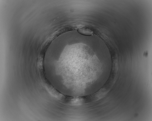 X0000112100274200908111425