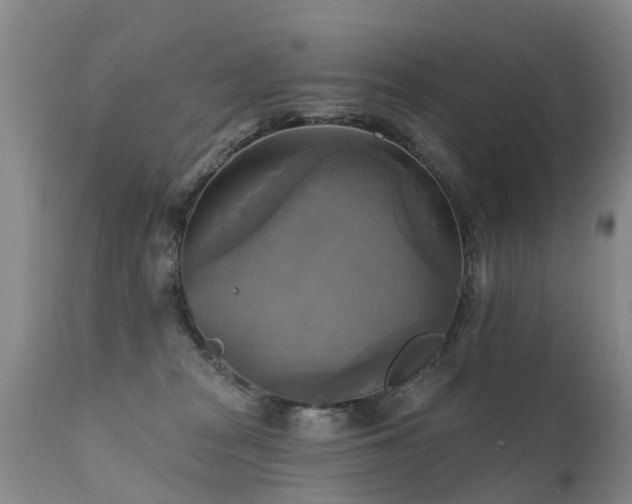 X0000112100277200908111425