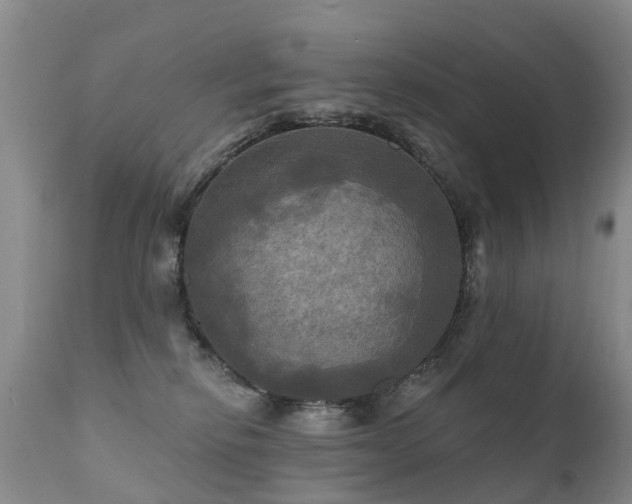 X0000112100278200908111425