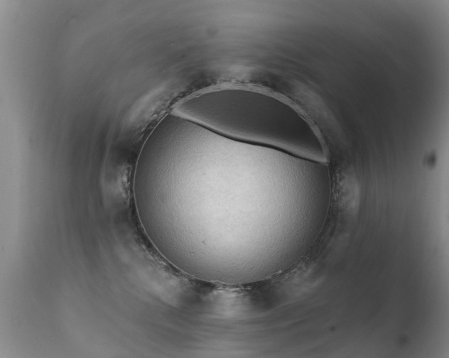X0000112100280200908111425