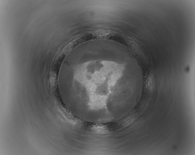 X0000112100283200908111425