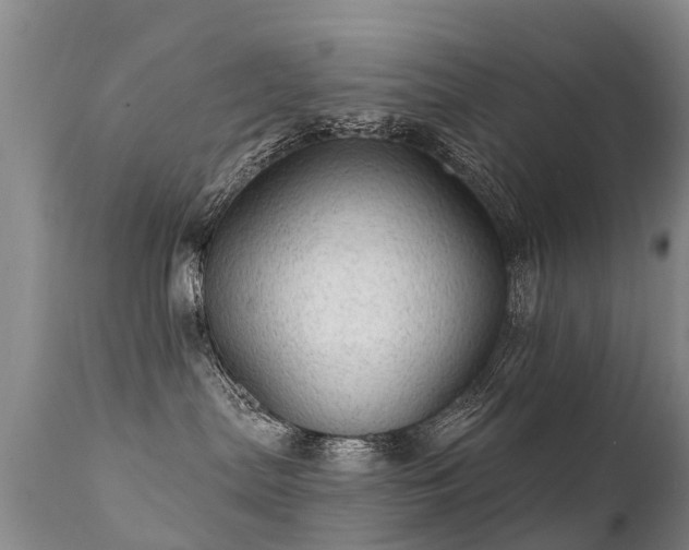 X0000112100287200908111425