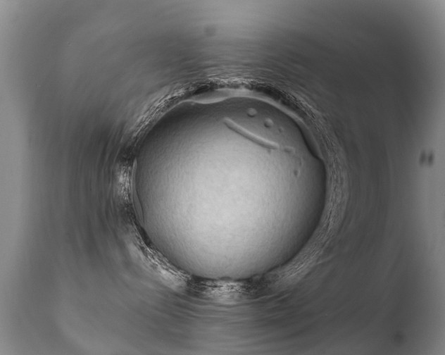 X0000112100288200908111425