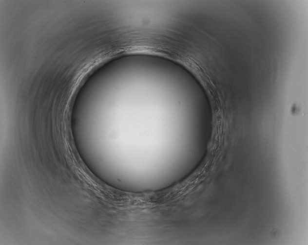 X0000112100289200908111424