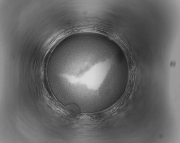 X0000112100290200908111424