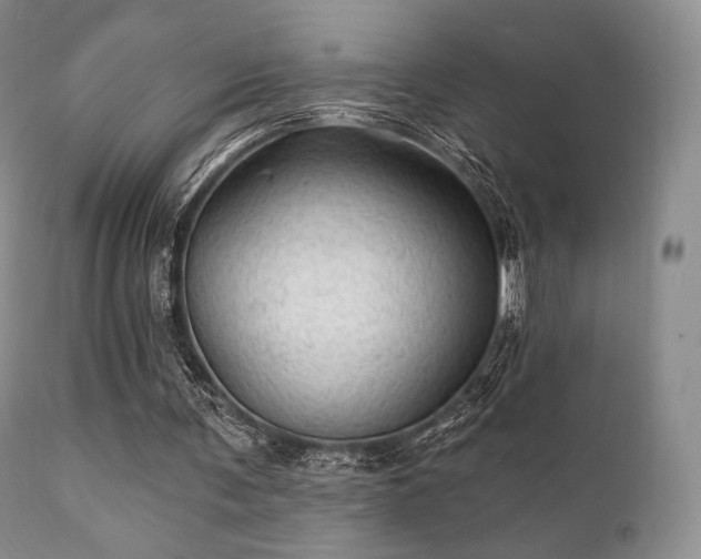 X0000112100291200908111424