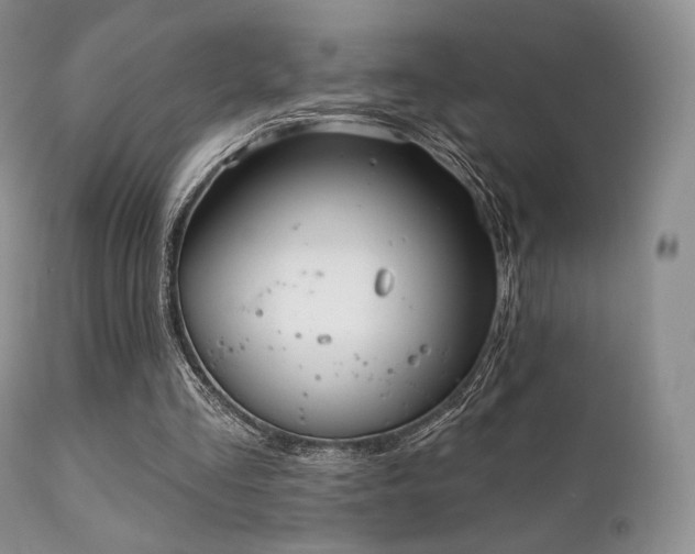X0000112100293200908111424