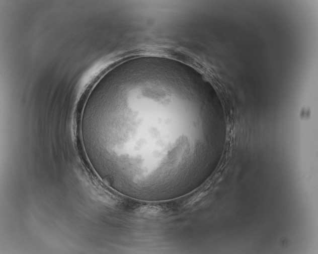 X0000112100294200908111424
