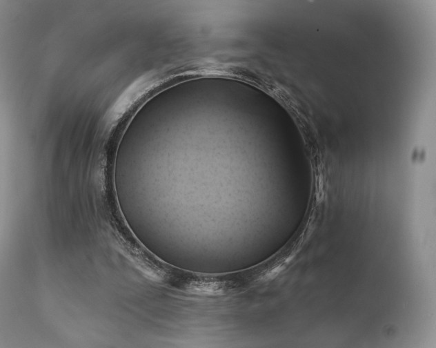 X0000112100295200908111424