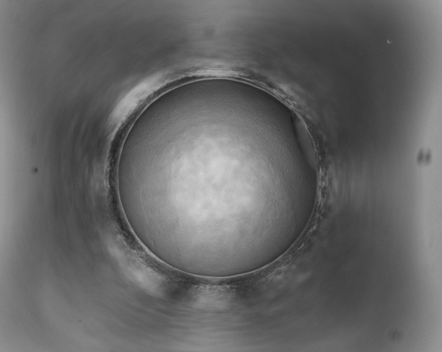 X0000112100296200908111424