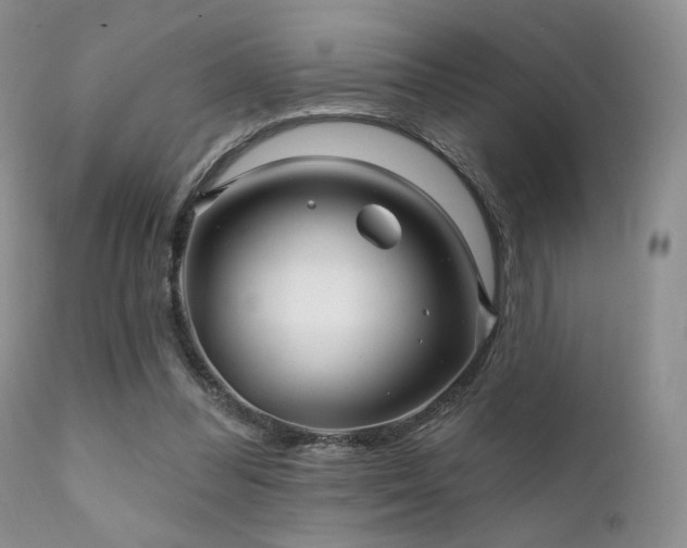 X0000112100300200908111424