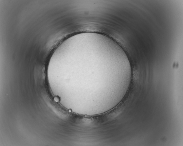 X0000112100302200908111424