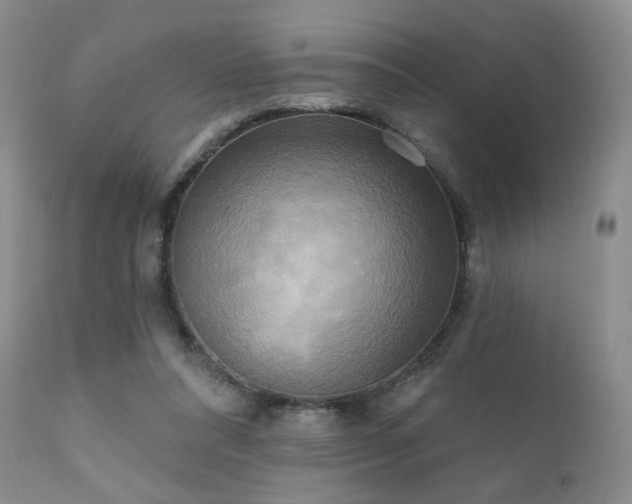 X0000112100304200908111424