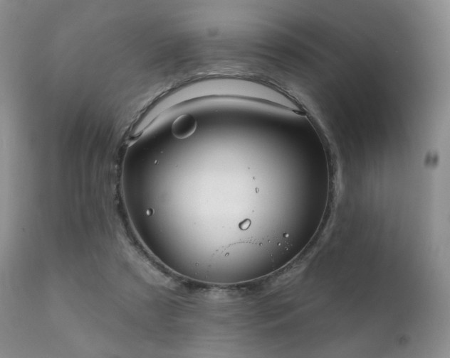 X0000112100305200908111424
