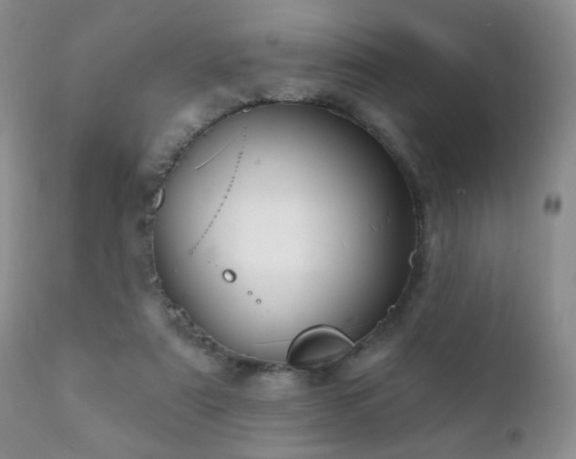 X0000112100307200908111424