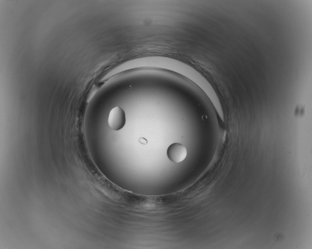 X0000112100308200908111424