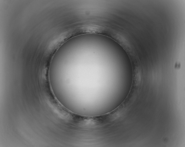 X0000112100310200908111424