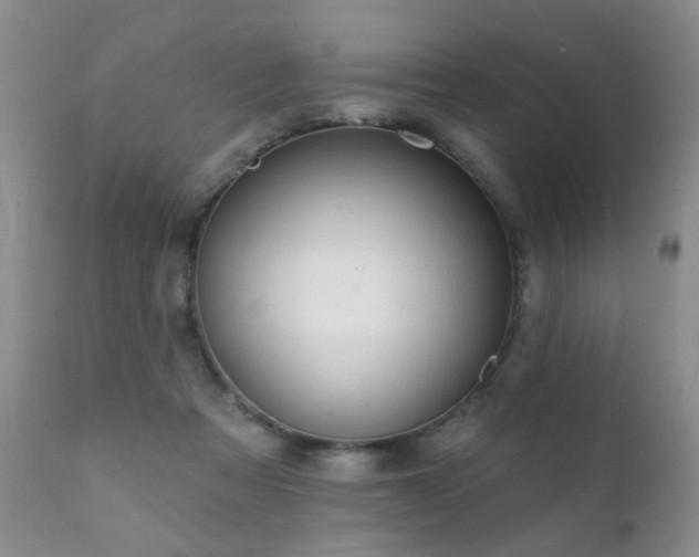 X0000112100313200908111424
