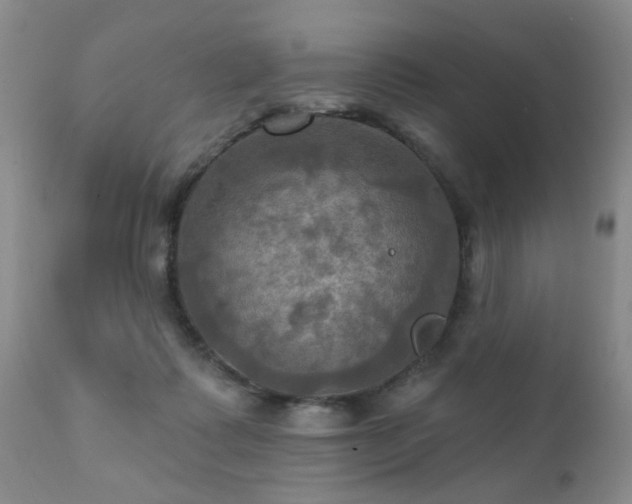 X0000112100315200908111424