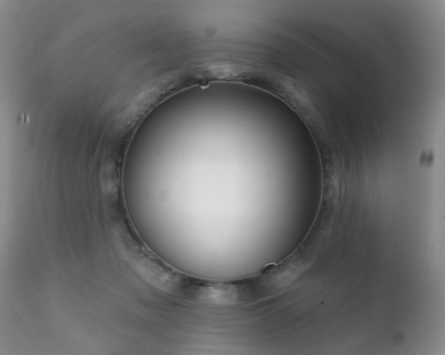 X0000112100317200908111424