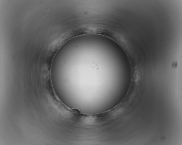 X0000112100318200908111424