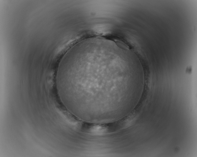 X0000112100319200908111424