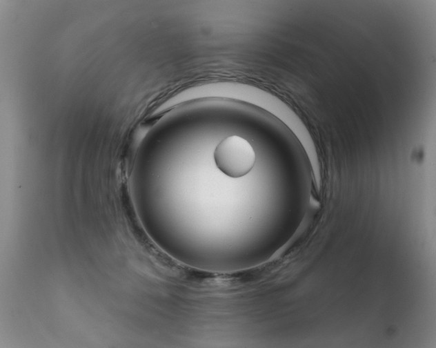 X0000112100320200908111424