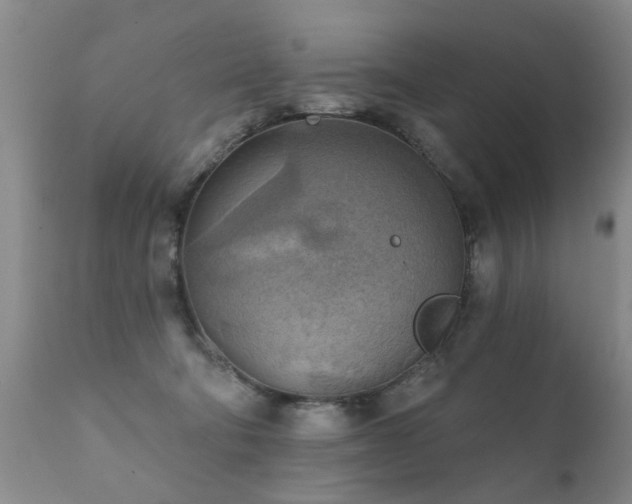 X0000112100322200908111424