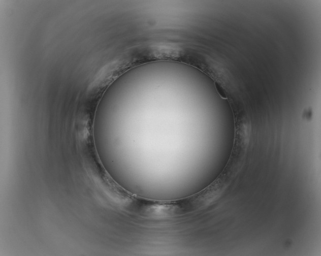 X0000112100323200908111424