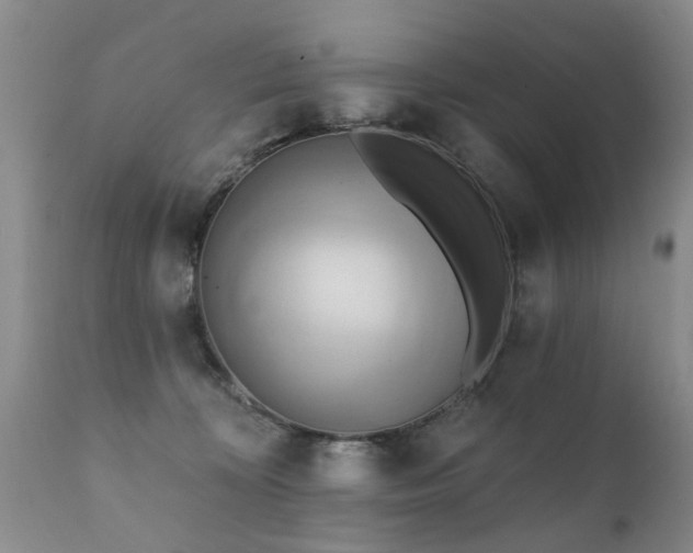 X0000112100324200908111424