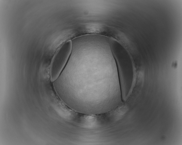 X0000112100325200908111424
