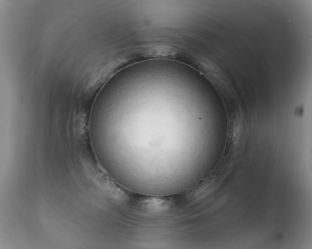 X0000112100326200908111424