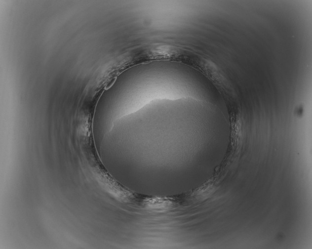 X0000112100331200908111424