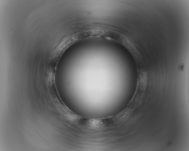 X0000112100333200908111424