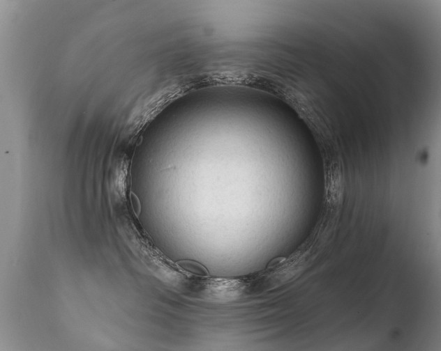 X0000112100334200908111424