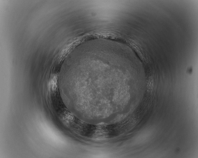 X0000112100335200908111424
