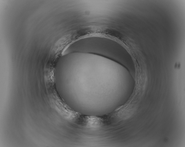 X0000112100336200908111424
