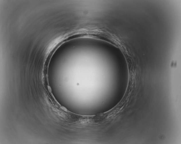 X0000112100340200908111423