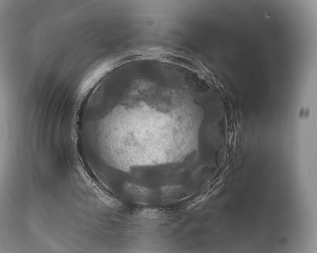 X0000112100341200908111423