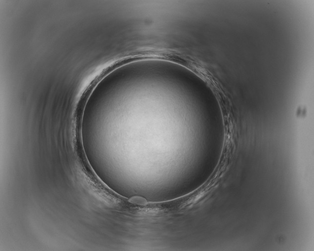 X0000112100342200908111423