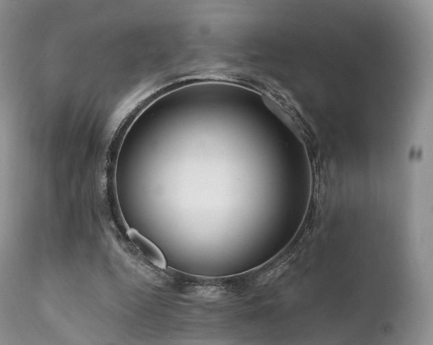 X0000112100344200908111423
