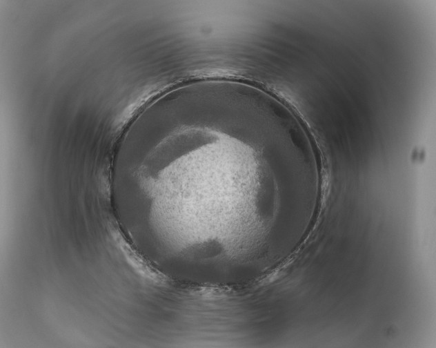 X0000112100345200908111423