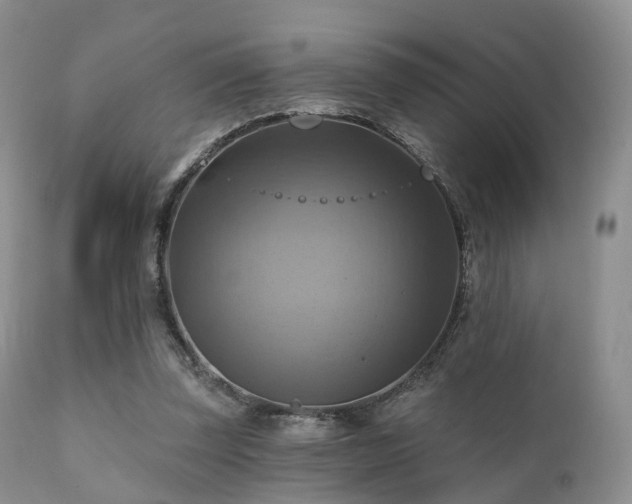 X0000112100347200908111423