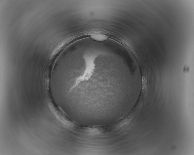 X0000112100349200908111423